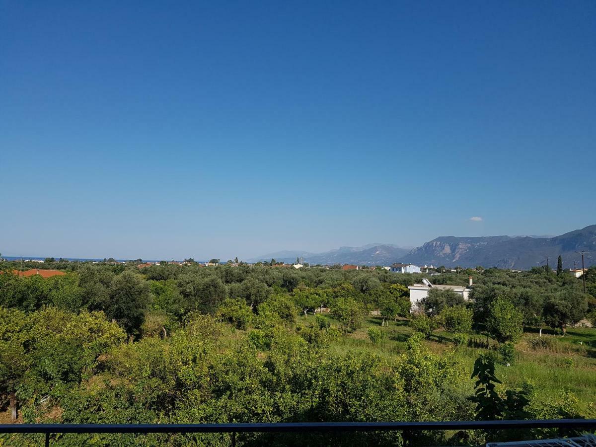 Dimitris Villa 艾伊翁 外观 照片
