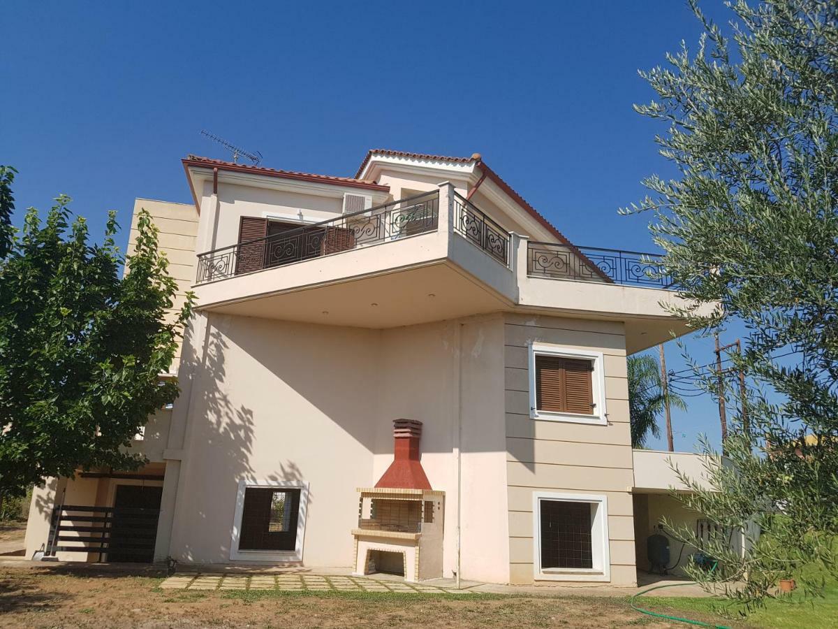 Dimitris Villa 艾伊翁 外观 照片